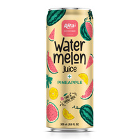Jus de purée de fruits mélangés saveur pastèque et ananas Rita de qualité supérieure, 500 ml, en canette élégante, avec services d'étiquetage privé OEM/ODM