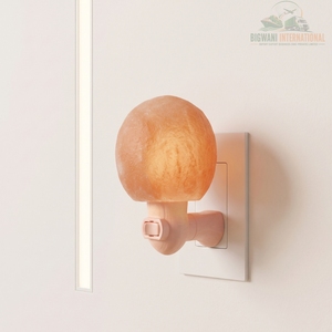 Lampe de nuit à brancher en forme de boule/globe de sel de roche de l'Himalaya, sculptée à la main, sphère ronde, décoration murale, lumière pour chambre et couloir - Product Image 5