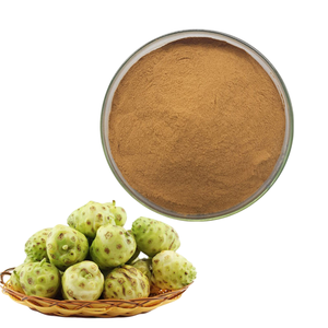 Extrait de fruit de Noni 100% pur naturel de qualité alimentaire, soluble dans l'eau, 10:1, poudre d'extrait de fruit de Noni de haute qualité en provenance d'Inde - Product Image 4