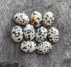 Cabujón de Jaspe Dálmata Natural, Piedra Preciosa Suelta |   Piedra Pulida de Forma Ovalada para la Fabricación de Joyas al por Mayor - Product Image 1