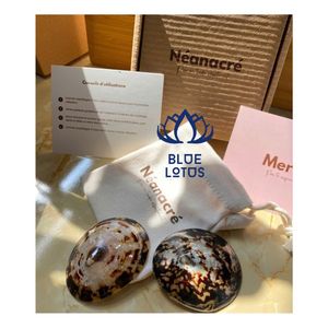 EN STOCK – Coque de recueil de lait en forme de coquille de limette 2026 – Housse lisse pour la collecte et l'utilisation de lait maternel - Product Image 1