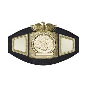 Cinturones de Campeonato Mundial de Boxeo de Peso Pesado Nuevos, Anillos de Boxeo y Kickboxing, Fabricante Mayorista, Personalizados para Equipos - Product Image 1