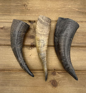 Buffalo Decorative Horn Natural Color In Pieces Different Sizes Home Showpieces Buffalo Horn <b>Decoration</b> Pieces - Product Image 1