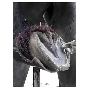 Herramientas para el Cuidado de Caballos, Lima para Pezuñas sin Mango, para Diagnóstico, Instrumentos Veterinarios Disponibles en Todos los Tipos y Calidades - Product Image 6