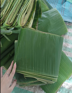ใบตองไผ่สีเขียวสำหรับห่อเค้ก-ใบตองเป็นมิตรต่อสิ่งแวดล้อมจากเวียดนาม-แพ็กเกจอาหารใบตองสด - Product Image 4