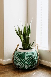 Cesta de Almacenamiento Hecha a Mano de Diseño Moderno para el Hogar, Venta al por Mayor, Ecológica, Hecha en Vietnam - Product Image 6