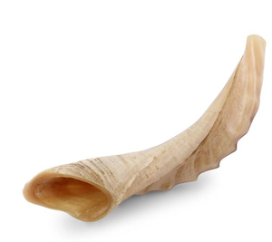Grand Shofar traditionnel en corne de buffle, instrument sculpté avec motif d'amour - Product Image 4