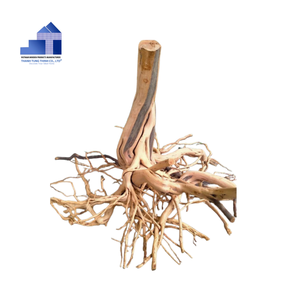 Wholesale Hot Selling Bogwood Driftwood Tree Roots for Aquarium Landscape and Reptile Habitat from Vietnam - Product Image 2