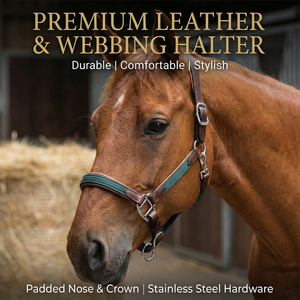 Cabestro de Cuero Indio Marrón con Incrustaciones de Tela Verde Azulado, Corona Acolchada, Correa Nasal Ajustable, Herrajes Plateados Personalizables, Premium - Product Image 3