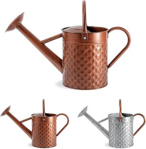 Arrosoir de style antique le plus vendu pour l'arrosage des plantes de jardin et la décoration intérieure, avec une poignée en métal robuste - Product Image 5
