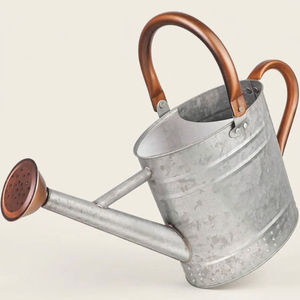 Eco-Friendly Galvanized Iron Plant Watering Can With Long Spout Vintage Metal <b>Garden</b> Pot For Indoor And Outdoor Decorative Plant - Product Image 3