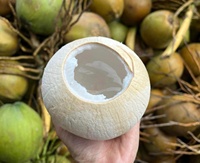 Cocos jóvenes frescos naturales de sabor dulce con pajita/botón pulsador/Tirador de anillo del proveedor de Vietnam