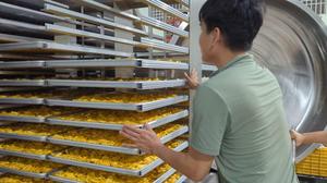 ขนุนอบแห้งกรุบกรอบ ขนมผลไม้เมืองร้อน บรรจุภัณฑ์สุญญากาศจากเวียดนาม - Product Image 6