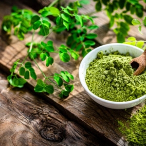 Natural Dried Moringa Oleifera Leaf Fine Powder Rich Fiber Superfood Mix Baking Cooking Seasoning Raw Material Wholesale - Product Image 6