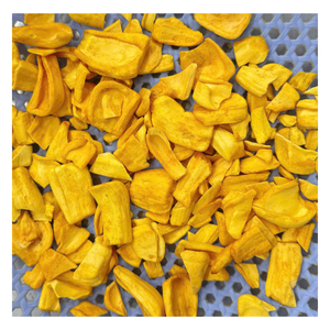Jackfruit séché naturel du Vietnam, qualité supérieure, collation de fruits tropicaux pour les importateurs en gros et les clients en marque blanche - Product Image 1