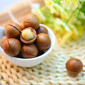 Vietnam Macadamia Nuts Shelled and Unshelled Premium Quality with Competitive Price and Rich Nutrition - Product Image 1