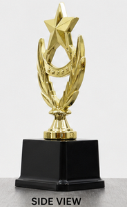 Gold Plated Star fiber <b>Trophy</b> With Laurel Wreath Black Base For Sports And Games - Product Image 5