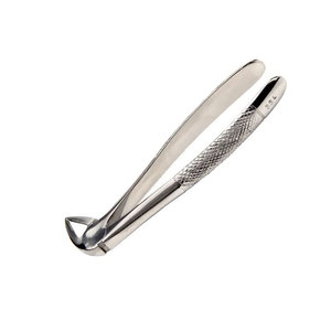 Premium Quality Berten Type Extraction Forceps PLUS 33L German Stainless Steel Dental Surgical Tooth Extraction Instrument - Product Image 5