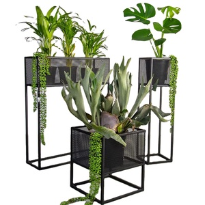 High Quality Set of 3 ,Black <b>Mesh</b> Iron Planter Stand for Indoor Plants Decoration set of 3 - Product Image 1