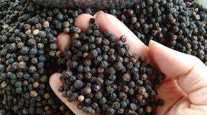 Épice naturelle séchée entière de poivre noir du Vietnam disponible pour la vente en gros de l'usine - Product Image 5