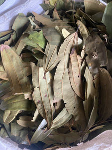 Feuilles de Cassia séchées au soleil de haute qualité, certifiées ISO HACCP, qualité export, 100 % naturelles, durée de conservation de 24 mois, pour bain de pieds aux herbes - Product Image 2