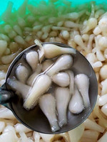 Exportation en gros de poireaux marinés en conserve à prix avantageux du Vietnam