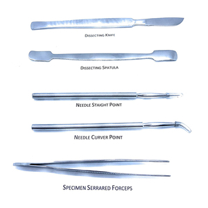 Kit chirurgical personnalisé de conception supérieure 2026, comprenant des ciseaux à iris, des ciseaux à pansements, des pinces à pansements et des ensembles d'instruments chirurgicaux - Product Image 3