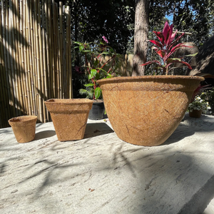 Pots en fibre de coco écologiques - Idéaux pour les semis, les plantes et excellent pour le jardinage biologique Fabriqués au Vietnam - Product Image 6