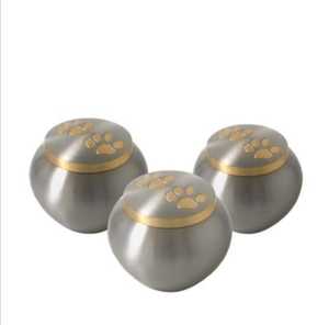 Mini Stainless Steel Pet Urn Brass Paw Print <b>Memorial</b> <b>Keepsake</b> Metal Ash Holder Small Dog Cat Cremation Urns Wholesale - Product Image 3