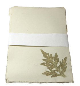 Papel de Algodón Reciclado Hecho a Mano, Papel para Cartas A4, Sin Ácido, con Bordes Decorativos (Bordes Naturales), Juego de Papelería Absolutamente Ecológico - Product Image 4