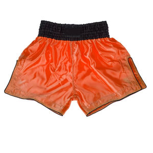 Shorts de combat MMA, grappling et arts martiaux, dernier design, nouvelle arrivée, haute qualité, OEM, shorts de combat personnalisés. - Product Image 3