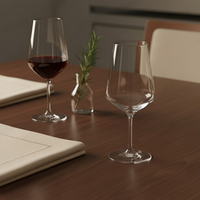 [Holar] Taiwan a fait des verres à vin en plastique incassables personnalisés pour le banquet de fête d'anniversaire d'anniversaire d'anniversaire d'anniversaire de mariage