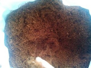 Bloque de Turba de Coco Premium, Sustrato de Cultivo Ecológico con pH Ácido para la Propagación de Plantas, ¡EN OFERTA! - Product Image 2