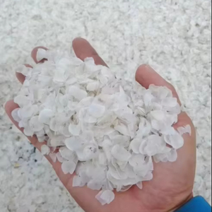 ESCALA DE TILAPIA CRUDA SECA NATURAL-ALTO CONTENIDO DE COLÁGENO, PRECIO BAJO - Product Image 1