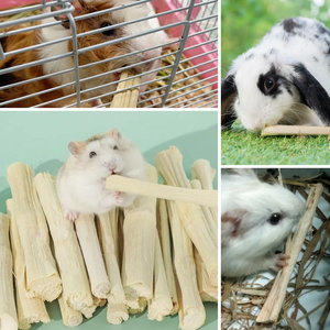 Bulk SUGARCANE STALK CHEW <b>STICKS</b> | Natural Small Pet Chews - Product Image 3
