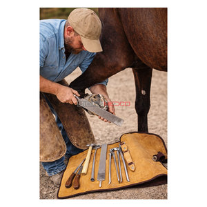 Horse Farrier Tool 9 Piece Hoof Grooming Kit Professional Equine Hoof Care <b>Set</b> Durable Stainless Steel Reusable Farrier - Product Image 6