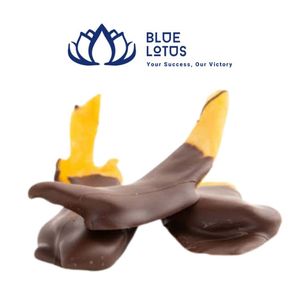 Mango Deshidratado Premium Recubierto de Chocolate, Venta al Por Mayor Sostenible, MEJOR VENDIDO - Product Image 1