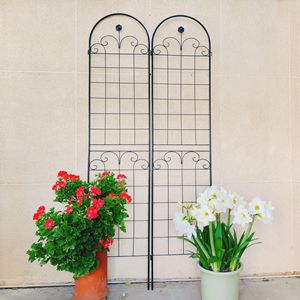 Set di 2 tralicci da giardino in metallo 26,4 m x 6 m, supporto antiruggine per piante rampicanti, rete per tralicci per rose, accessorio per attrezzatura da arrampicata - Product Image 1