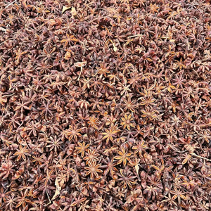 Premium Dried Raw Star Anise Whole Selected Grade Autumn Harvest Vietnam Origin IIGlobal Supply 1% Broken Rate Max High Purity - Product Image 1