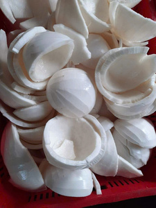 Vietnam Frozen <b>Coconut</b> Pieces Bulk Supply for Beverage Factory and Food Service - Product Image 1