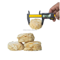 Allume-feu à allumage instantané conçu sur mesure de haute qualité résistant à l'eau pour les barbecues de camping cuisson des accessoires de barbecue