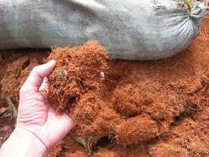 Bloque/Ladrillo de Turba de Fibra de Coco Premium de 650 g, Bajo EC, Ecológico, Biodegradable, Natural, de Alta Calidad para Plantas de Jardín - Product Image 3