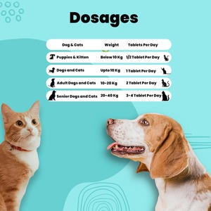 OEM ODM – Nouvelles Friandises Tendres pour Chiens et Chats, Soutien Articulaire avec Glucosamine pour la Santé des Hanches et des Articulations, Amélioration de la Mobilité et Soulagement de la Raideur - Product Image 3