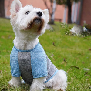 เสื้อยืดสุนัขผ้าฝ้ายคุณภาพดี น้ำหนักเบา พิมพ์ลายทันสมัย สวมใส่สบาย เหมาะสำหรับฤดูร้อน ปี 2026 - Product Image 4