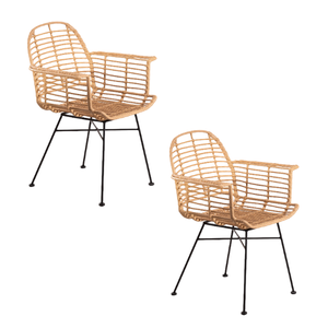 Silla de Jardín Contemporánea de Ratán con Patas de Metal, Muebles de Exterior, Diseño Duradero, Estilo de Pata Cónica - Product Image 5
