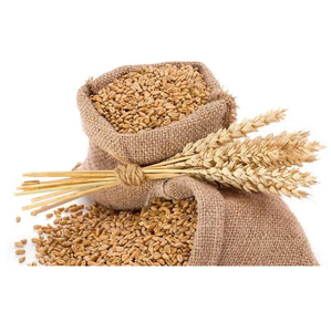 Trigo Rojo Duro de Grado Alimenticio con Alto Contenido de Proteínas para Pan, Pasta y Producción de Panadería - Product Image 5