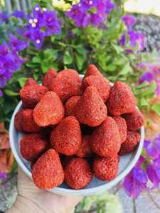 Freeze Dried Strawberry At Cheap Price, High <b>Quality</b> Crispy Freeze Dried Strawberries With Customized Packing - Product Image 4