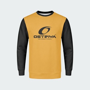เสื้อสเวตเชิ้ตผู้ชาย OEM สีพื้น ไซส์ใหญ่ ทรงปกติ ผ้าฝ้าย 100% เสื้อผ้าสตรีทแวร์ฤดูหนาว แขนยาว คอกลม แห้งเร็ว - Product Image 3