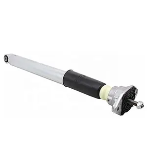 Auto Parts Rear Electric Shock Absorber Strut w/o ADS for Porsc h e Paname r a 3.6L 97033314505 97033314506 97033306107