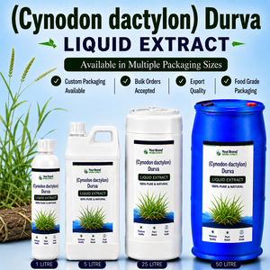 Extracto Líquido de Cynodon Dactylon, Suplemento Herbal a Base de Plantas, Grado Alimenticio, Empaque de Exportación, Etiqueta Personalizada - Product Image 1